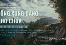 Sống Xứng Đáng Cho Chúa – 15/6/2024