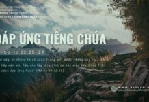 Đáp Ứng Tiếng Chúa – 19/6/2024