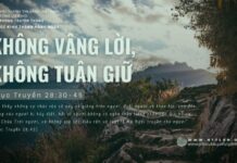 Không Vâng Lời, Không Tuân Giữ – 26/6/2024
