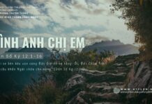 Tình Anh Chị Em – 5/6/2024