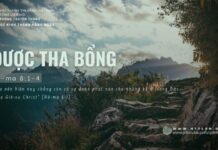 Được Tha Bổng – 7/6/2024