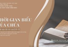 Thời Gian Biểu Của Chúa – 13/7/2024