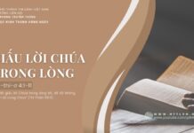 Giấu Lời Chúa Trong Lòng – 5/7/2024