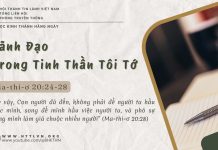 Lãnh Đạo Trong Tinh Thần Tôi Tớ – 26/6/2025