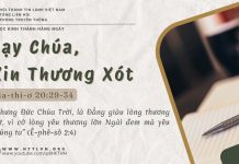 Lạy Chúa, Xin Thương Xót – 27/6/2025
