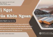 Vị Ngọt Của Khôn Ngoan – 13/7/2025