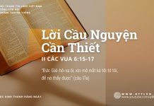 Dạy Con Cháu Trông Cậy Chúa – 3/9/2025