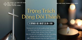 Trọng Trách Dòng Dõi Thánh – 14/11/2025