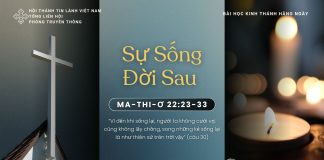 Sự Sống Đời Sau – 17/11/2025