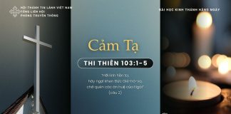 Cảm Tạ – 27/11/2025