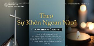 Theo Sự Khôn Ngoan Nào? – 29/11/2025