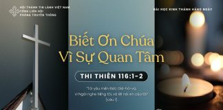 Biết Ơn Chúa Vì Sự Quan Tâm – 3/11/2025