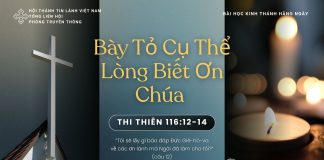 Bày Tỏ Cụ Thể Lòng Biết Ơn Chúa – 5/11/2025